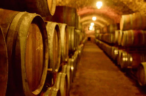 produzione del vino